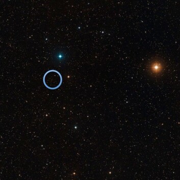 Galaksehopen SDSS J1531 3414 kan ses som en ansamling av svake, røde objekter inne i den blå sirkelen. (Foto: NASA/HUBBLE SPACE TELESCOPE) Galaksehopen SDSS J1531 3414 kan ses som en ansamling av svake, røde objekter inne i den blå sirkelen. (Foto: NASA/HUBBLE SPACE TELESCOPE)