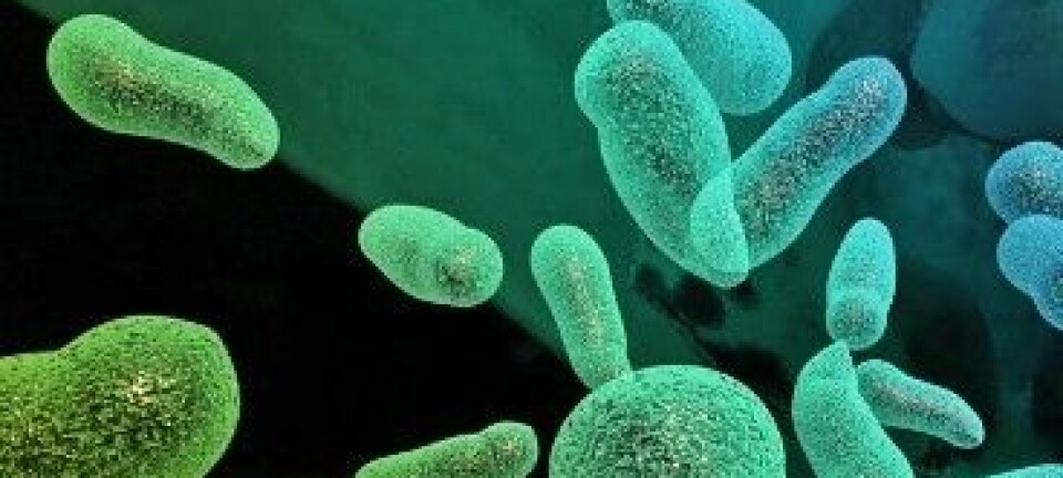 Amerikanske forskere har funnet ut at hele 90 prosent av cellene i kroppen din kan bestå av fremmede mikrober, blant annet er bakterier og virus. Men før du løper til dusjen, må du vite at mange av disse bakteriene er helt nødvendige for å holde deg frisk. Colourbox