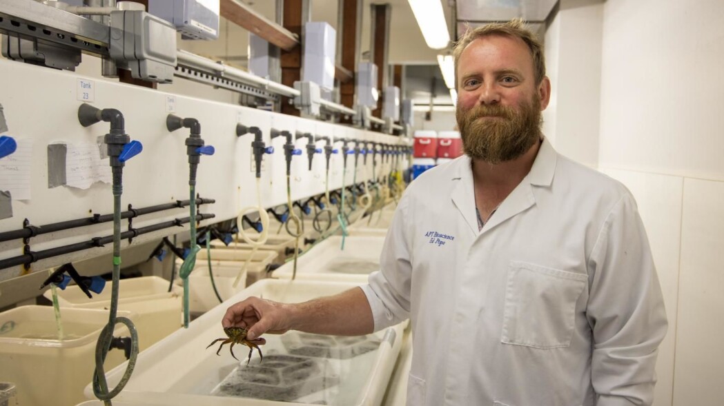 En av testdeltakerne vises frem av Ed Pope, leder av studien. (Foto: Swansea University) En av testdeltakerne vises frem av Ed Pope, leder av studien. (Foto: Swansea University)