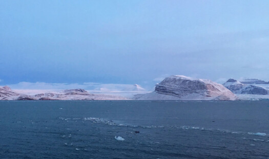 Kongsfjorden – fra isbre-slam og trålfelt ned i dyphavet