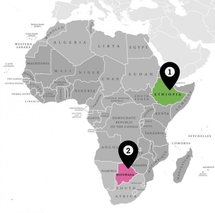 Tidligere forskning har pekt på at alle mennesker kan føres tilbake til et område i det nåværende Etiopia i Øst-Afrika (1), men i den nye studien sporer forskerne opphavet lenger mot sør, nemlig i dagens Botswana (2). (Illustrasjon: Sarafina Kimø / pingebat / Shutterstock / NTB scanpix) Tidligere forskning har pekt på at alle mennesker kan føres tilbake til et område i det nåværende Etiopia i Øst-Afrika (1), men i den nye studien sporer forskerne opphavet lenger mot sør, nemlig i dagens Botswana (2). (Illustrasjon: Sarafina Kimø / pingebat / Shutterstock / NTB scanpix)