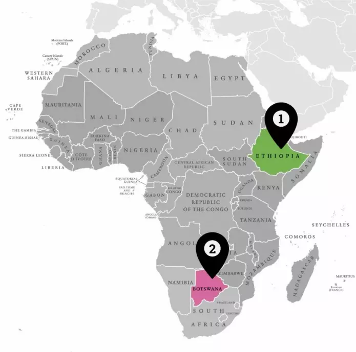 Tidligere forskning har pekt på at alle mennesker kan føres tilbake til et område i det nåværende Etiopia i Øst-Afrika (1), men i den nye studien sporer forskerne opphavet lenger mot sør, nemlig i dagens Botswana (2). (Illustrasjon: Sarafina Kimø / pingebat / Shutterstock / NTB scanpix)