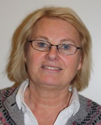 Bente Abrahamsen er seniorforsker ved Senter for profesjonsstudier ved Høgskolen i Oslo og Akershus. (Foto: Privat) Bente Abrahamsen er seniorforsker ved Senter for profesjonsstudier ved Høgskolen i Oslo og Akershus. (Foto: Privat)
