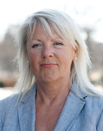 Forskningen som Liss Kerstin Sylvén har ledet, bekrefter at de som bruker mye tid på interaktive dataspill, får bedre ordforråd. (Foto: Göteborgs universitet) Forskningen som Liss Kerstin Sylvén har ledet, bekrefter at de som bruker mye tid på interaktive dataspill, får bedre ordforråd. (Foto: Göteborgs universitet)