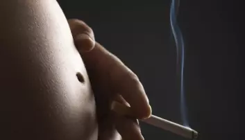 Blir gravide, men røyker videre