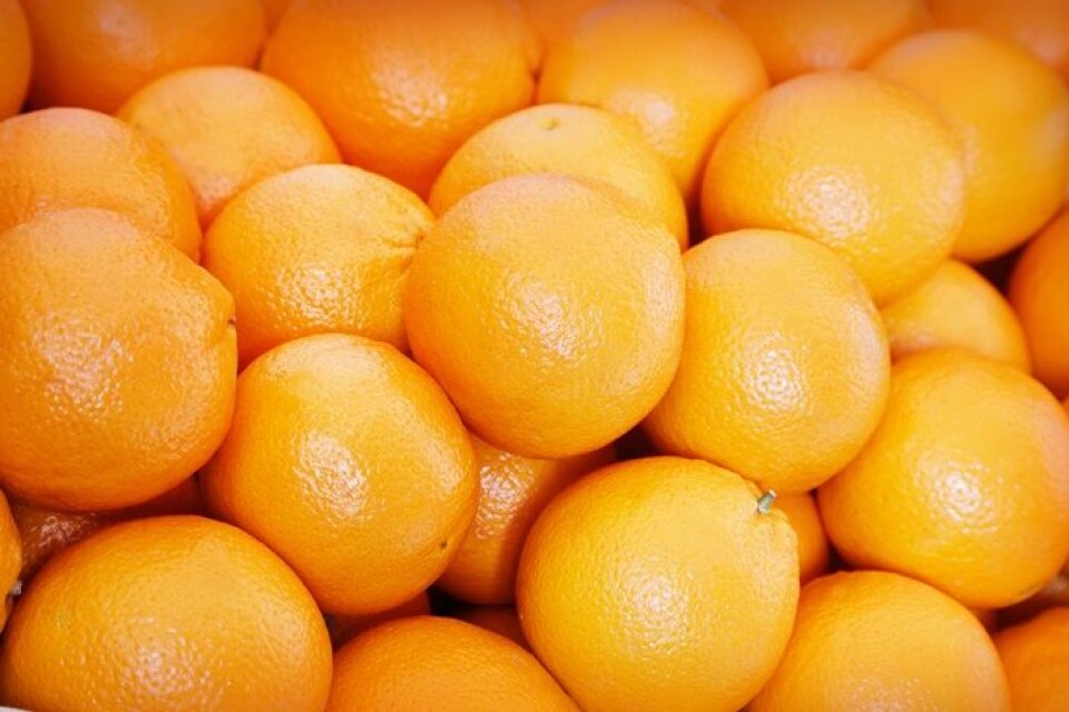 Mange norske forbrukere boikotter for tiden appelsiner fra Israel på grunn av krigen i Midtøsten. (Foto: Microstock)