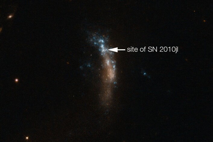 De danske forskerne har studert supernovaen SN 2010jl i 800 dager fra den eksploderte. (Foto: ESO) De danske forskerne har studert supernovaen SN 2010jl i 800 dager fra den eksploderte. (Foto: ESO)