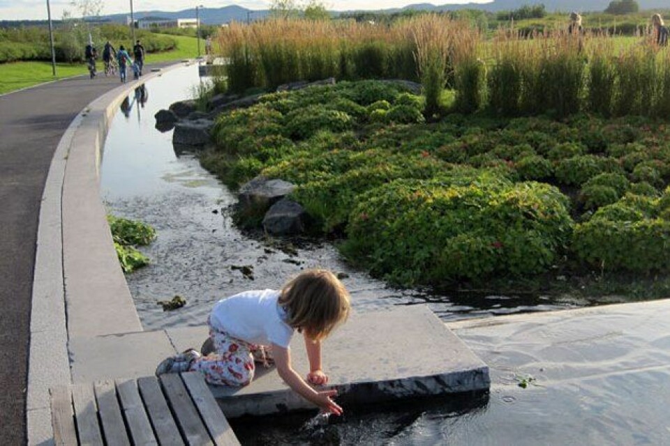 På Fornebu har landskapsarkitekter laget vannsystemer over bakken og i nærheten av en lekeplass, slik at barna også kan ha glede av vannet. (Foto: Bjørbekk & Lindheim)