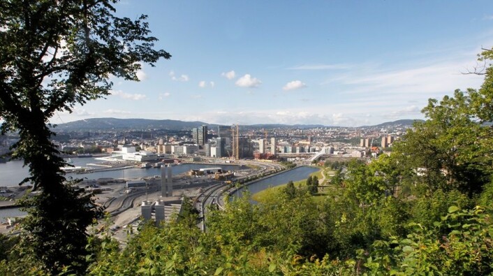 Ekebergskrenten er et av de stedene i Oslo med mest biologisk mangfold. (Foto: Morten Holm / Scanpix) Ekebergskrenten er et av de stedene i Oslo med mest biologisk mangfold. (Foto: Morten Holm / Scanpix)