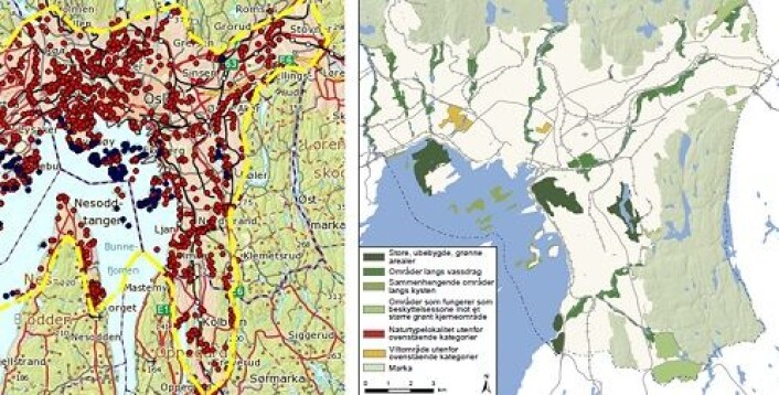 Kartet til venstre er fra naturbasen og viser naturmangfoldet i Oslo. Samme kartet til høyre er fra Plan- og bygningsetatens egen registrering av grønne områder i Oslo. Kartene viser det dårlige skille mellom ulike grøntområder. (Foto: (Illustrasjon: NIBR/Hanssen)) Kartet til venstre er fra naturbasen og viser naturmangfoldet i Oslo. Samme kartet til høyre er fra Plan- og bygningsetatens egen registrering av grønne områder i Oslo. Kartene viser det dårlige skille mellom ulike grøntområder. (Foto: (Illustrasjon: NIBR/Hanssen))