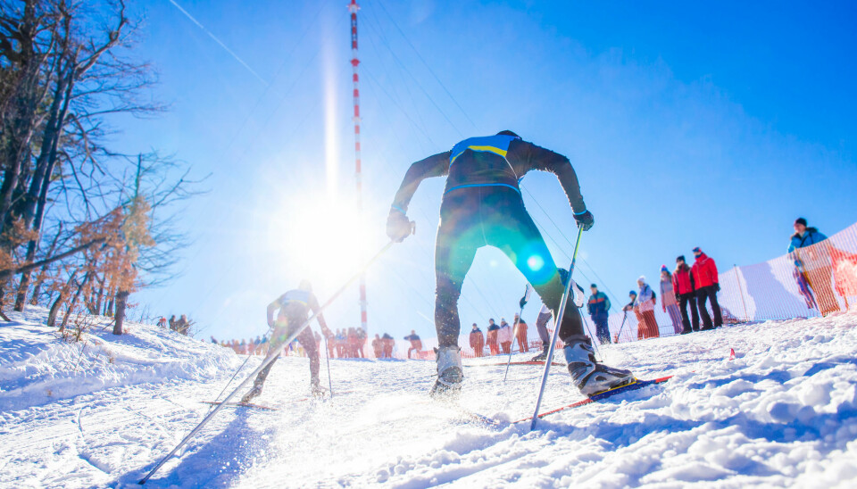 Forsker mener det er alarmerende at fluor-nivåene var så mye høyere i skiområdet – selv om prøvene var tatt om sommeren. (Illustrasjonsfoto: kovop58, Shutterstock, NTB scanpix)