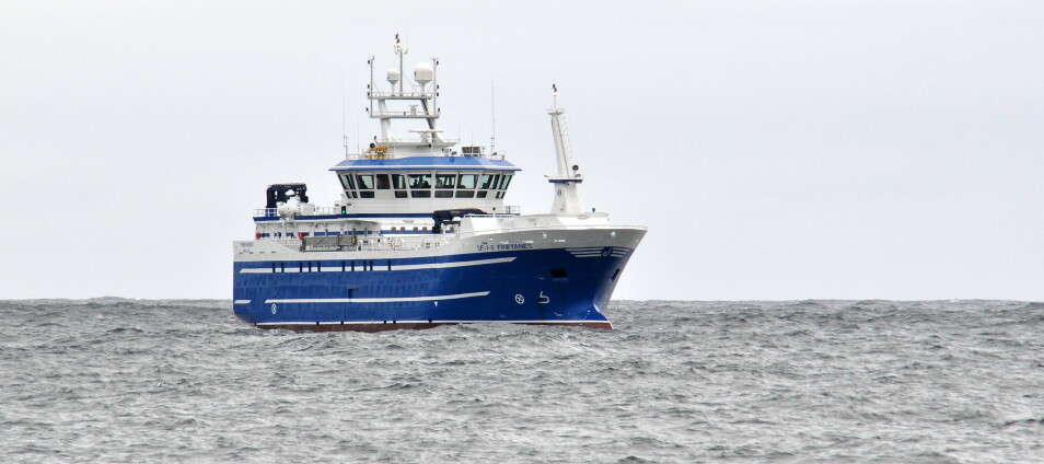 Avskjer frå kvitfisk vert no til hermetisert hunde- og kattemat om bord på ein av verdas største autolinebåtar, MS Frøyanes. (Foto: Ervik Havfiske)