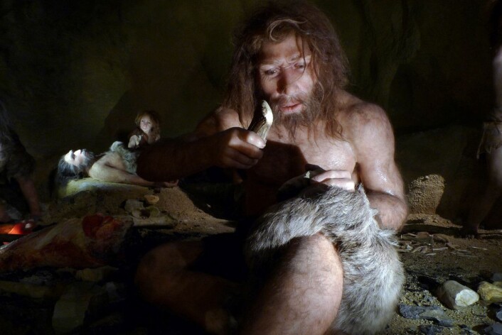 Våre slektninger neandertalerne, slik neandertalermuseet i Krapina, Kroatia, presenterer dem. (Foto: Nikola Solic/Reuters) Våre slektninger neandertalerne, slik neandertalermuseet i Krapina, Kroatia, presenterer dem. (Foto: Nikola Solic/Reuters)