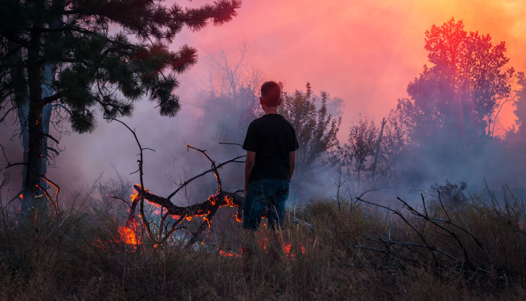 En enorm innsats må legges inn for å bevare biosfæren og for å unngå utallige lidelser på grunn av klimakrisen, skriver forskerne bak oppropet. (Foto: Lumppini / Shutterstock / NTB scanpix) En enorm innsats må legges inn for å bevare biosfæren og for å unngå utallige lidelser på grunn av klimakrisen, skriver forskerne bak oppropet. (Foto: Lumppini / Shutterstock / NTB scanpix)