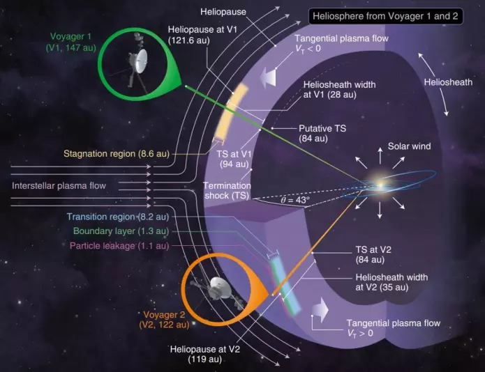 Solvinden skyver materiale fra solsystemets indre og samler det i et bånd som Voyager 1 og 2 kunne registrere. (Illustrasjon: Nature Astronomy)