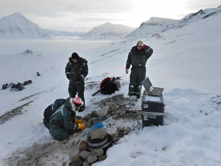 Andreas Köhler og Christopher Nuth med kolleger installerer midlertidige seismiske måleinstrumenter på Kronebreen i 2013. (Foto: Christopher Nuth, Universitetet i Oslo)