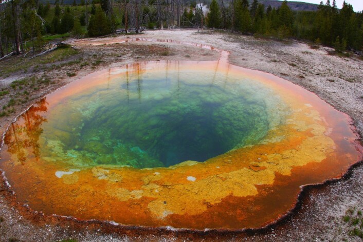 Yellowstone nasjonalpark er kjent for sine mange fargerike varme kilder. Disse kildene vitner om at det under nasjonalparken gjemmer seg et kjempestort magmakammer. (Foto: Wikimedia commons) Yellowstone nasjonalpark er kjent for sine mange fargerike varme kilder. Disse kildene vitner om at det under nasjonalparken gjemmer seg et kjempestort magmakammer. (Foto: Wikimedia commons)