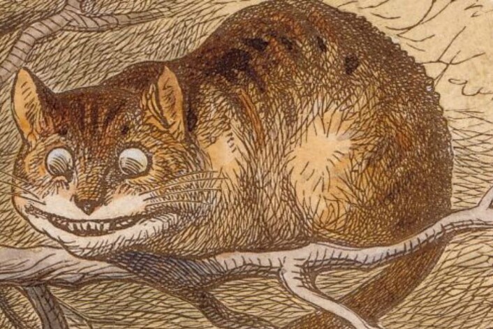 Det er fortsatt et stykke igjen til noen klarer å skille katt fra flir, men separasjonen nøytroner/magnetisme er nå gjennomført. (Foto: JOHN TENNIEL) Det er fortsatt et stykke igjen til noen klarer å skille katt fra flir, men separasjonen nøytroner/magnetisme er nå gjennomført. (Foto: JOHN TENNIEL)
