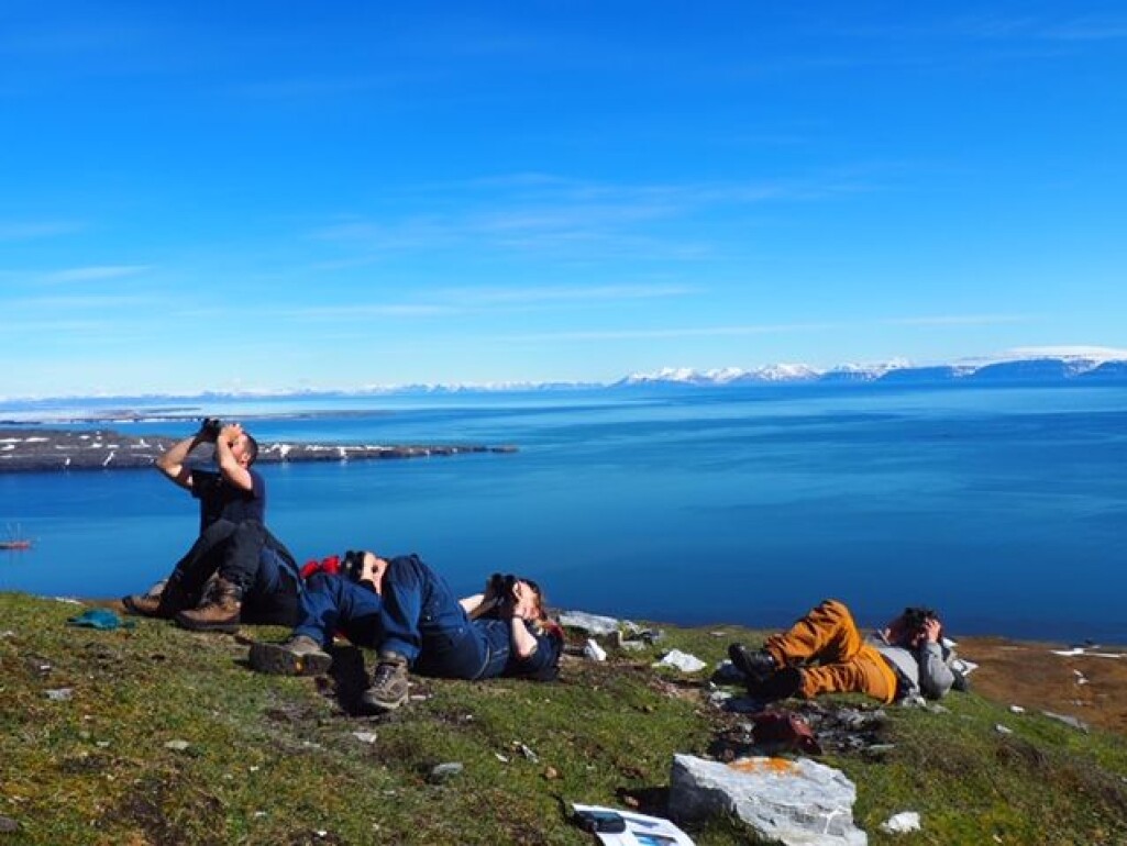 Forskningen baserer seg på årelang kartlegging i regi av et landsdekkende program for overvåking av sjøfugl langs hele kysten av Norge og i tilstøtende havområder. Dette bildet er fra forskning på krykkjer på Svalbard sommeren 2019. Forskningen baserer seg på årelang kartlegging i regi av et landsdekkende program for overvåking av sjøfugl langs hele kysten av Norge og i tilstøtende havområder. Dette bildet er fra forskning på krykkjer på Svalbard sommeren 2019.