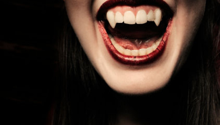 Gi eller få svi: Halloween også for voksne