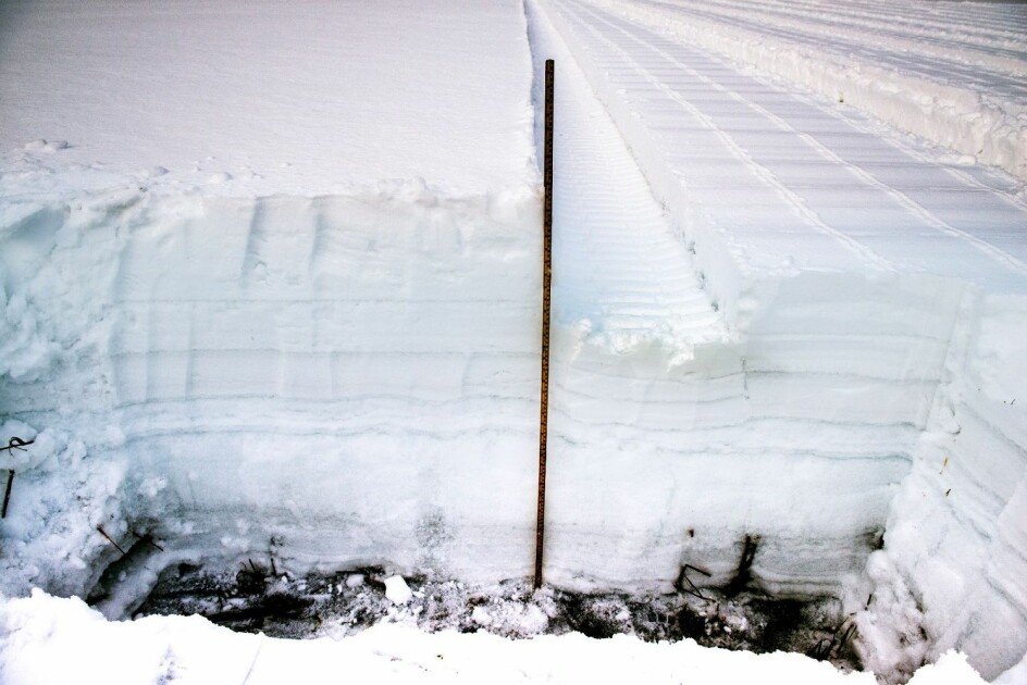 Kvaliteten på dataene ble dårligere når snødybden var høyere en enn halv meter. (Foto: NIKU)