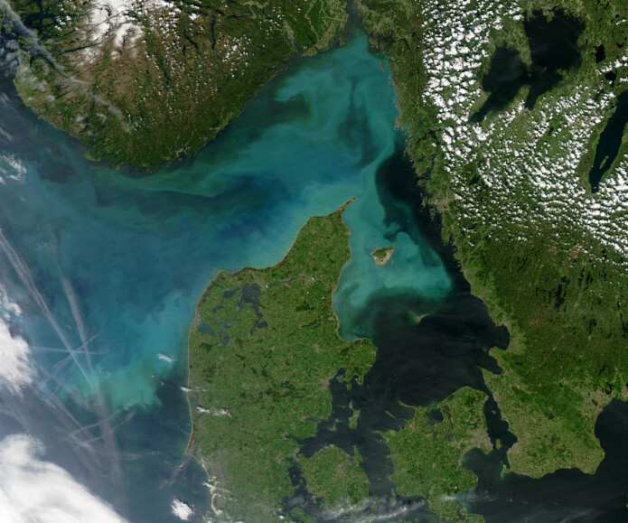 En oppblomstring av planteplankton i Skagerrak og kysten utenfor Danmark, sett fra rommet. En oppblomstring av planteplankton i Skagerrak og kysten utenfor Danmark, sett fra rommet.