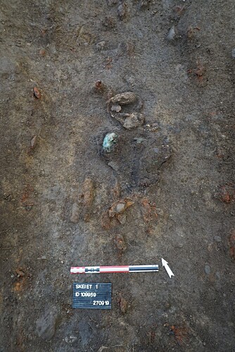 The soil in the area that was excavated was not good for preserving human remains. Archaeologists were consequently overjoyed when they found parts of the skull of the woman in the upper boat tomb. (Photo: Astrid Lorentzen, NTNU University Museum) The soil in the area that was excavated was not good for preserving human remains. Archaeologists were consequently overjoyed when they found parts of the skull of the woman in the upper boat tomb. (Photo: Astrid Lorentzen, NTNU University Museum)