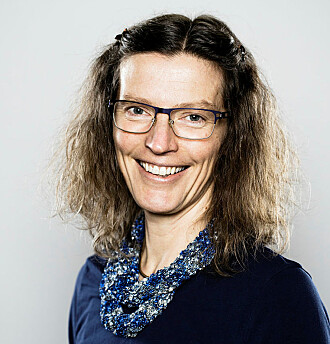 Anne Sverdrup-Thygeson er insektsekspert og professor ved NMBU. Anne Sverdrup-Thygeson er insektsekspert og professor ved NMBU.