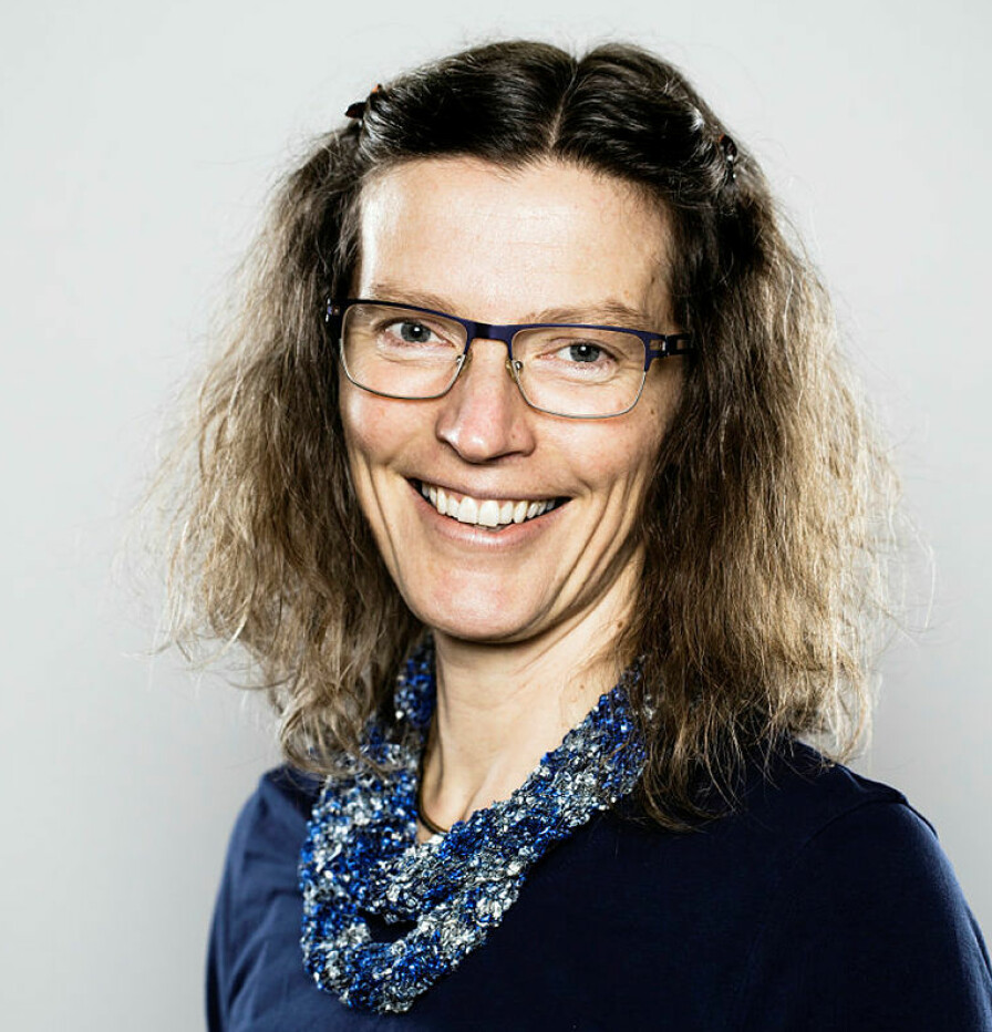 Anne Sverdrup-Thygeson er insektsekspert og professor ved NMBU.