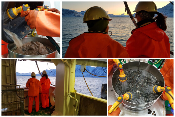 Her nyter prøvetakerne de siste solstrålene før mørketiden setter inn i Kongsfjorden, og vipps, så kommer dyrene opp med bomtrålen. Bilder: Lilja R. Bjarnadóttir Her nyter prøvetakerne de siste solstrålene før mørketiden setter inn i Kongsfjorden, og vipps, så kommer dyrene opp med bomtrålen. Bilder: Lilja R. Bjarnadóttir