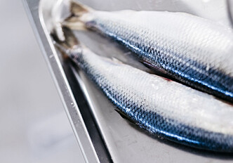 Norwegian oils from sea and land generate more omega-3