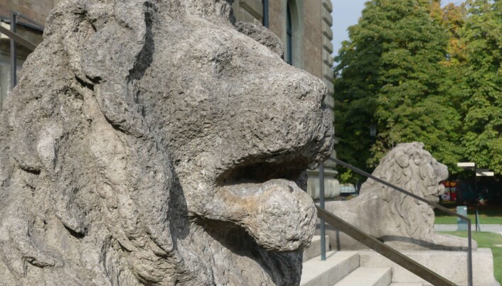Mens det norske Stortingets løver er hugget i hard nordmarkitt, er løvene foran det gamle kunstmuseet i München skåret ut i bayersk kalkstein. Mens det norske Stortingets løver er hugget i hard nordmarkitt, er løvene foran det gamle kunstmuseet i München skåret ut i bayersk kalkstein.