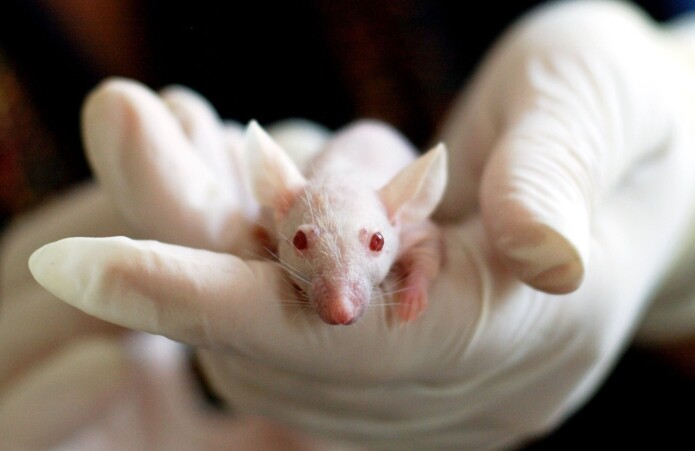 The CAS project challenges the transferability of research findings from studies on animals to humans. The CAS project challenges the transferability of research findings from studies on animals to humans.