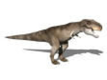"Tyrannosaurus - ikke størst." "Tyrannosaurus - ikke størst."