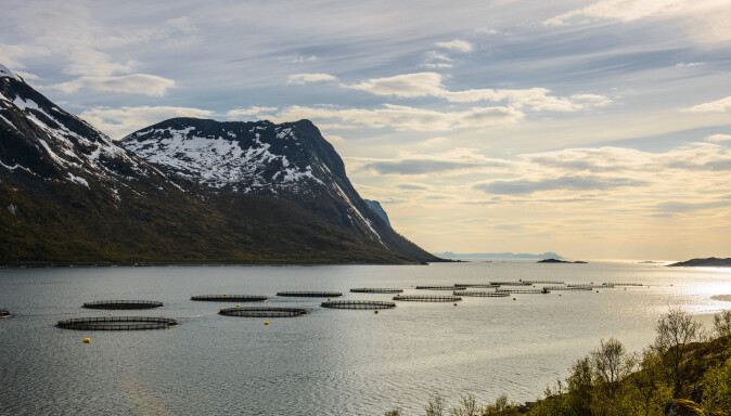 Oppdrettsanlegg tar plass i fjord og sjø. Dette illustrasjonsbildet fra 2012 viser et oppdrettsanlegg nær Senja. Oppdrettsanlegg tar plass i fjord og sjø. Dette illustrasjonsbildet fra 2012 viser et oppdrettsanlegg nær Senja.