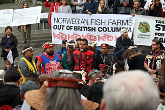 Urfolk i Norge og Canada opplever et konstant press fra oppdrettere