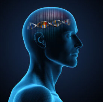 (Illustrasjon: iStockphoto) (Illustrasjon: iStockphoto)