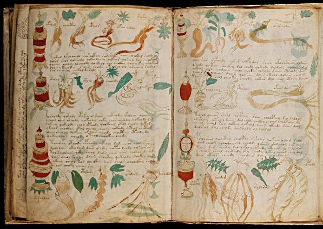 Over hundre forskjellige planter er avbildet i boken. Men ingen av disse mystiske plantene er det mulig å kjenne igjen. Over hundre forskjellige planter er avbildet i boken. Men ingen av disse mystiske plantene er det mulig å kjenne igjen.