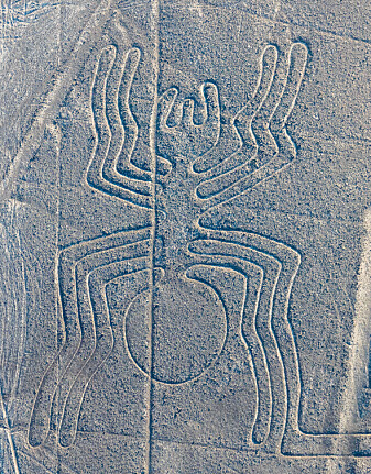 En gigantisk Nazca-edderkopp. En gigantisk Nazca-edderkopp.