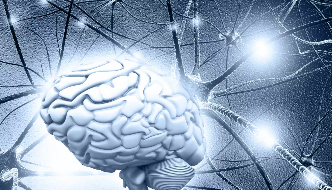 Hvordan kan forskerne bruke teknologi til å skjønne mer om hjernesykdommer?