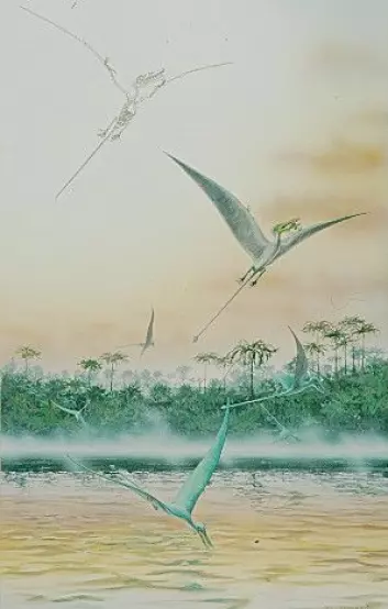 "Pterosaurus. (Bilde: Naturhistorisk museum, Universitetet i Oslo)"