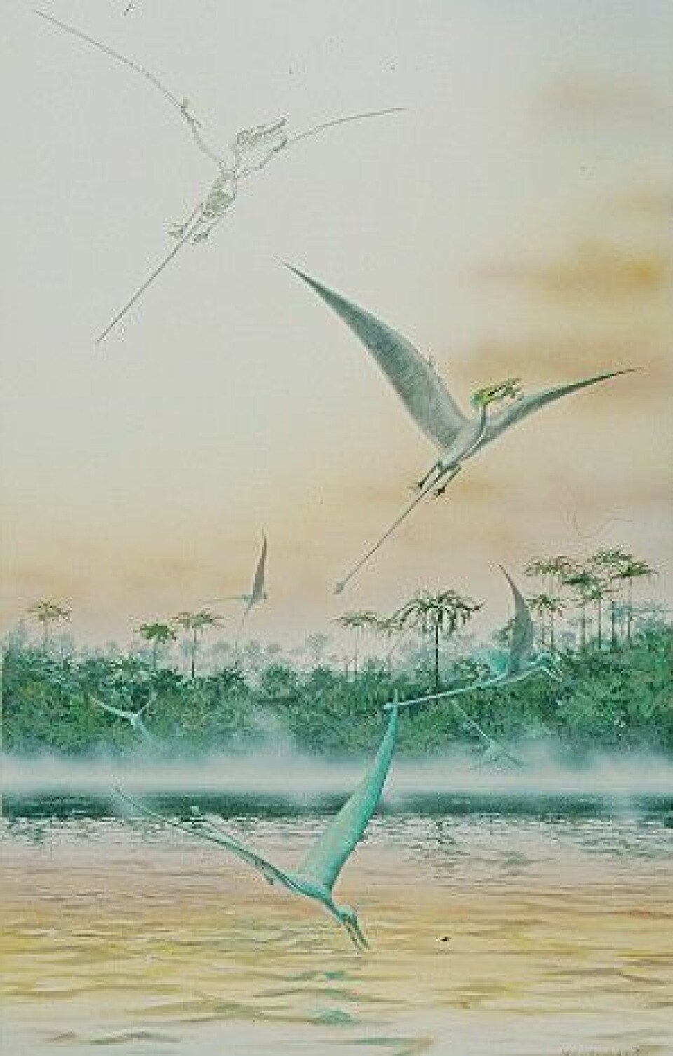 'Pterosaurus. (Bilde: Naturhistorisk museum, Universitetet i Oslo)'
