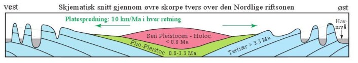 Figur 6: Skjematisk snitt i retning VNV-ØSØ som viser høydevariasjoner og lagstilling. Den vulkanske pålagringen i riftsonene skaper et vulkansk høyland, særlig i den indre delen av Island nær Vatnajökull, og konstant innsynkning av dette høylandet. Dette fører til nedbøyning av basaltlagene øst og vest for riftsonen. De Tertiære lavaplatåene flyter høyt på grunn av lav tetthet som følge av dyp glasial innskjæring med daler og fjorder. De lavestliggende områdene på Island er de Plio-Pleistocene områdene. Klikk her for større versjon. Figur 6: Skjematisk snitt i retning VNV-ØSØ som viser høydevariasjoner og lagstilling. Den vulkanske pålagringen i riftsonene skaper et vulkansk høyland, særlig i den indre delen av Island nær Vatnajökull, og konstant innsynkning av dette høylandet. Dette fører til nedbøyning av basaltlagene øst og vest for riftsonen. De Tertiære lavaplatåene flyter høyt på grunn av lav tetthet som følge av dyp glasial innskjæring med daler og fjorder. De lavestliggende områdene på Island er de Plio-Pleistocene områdene. Klikk her for større versjon.