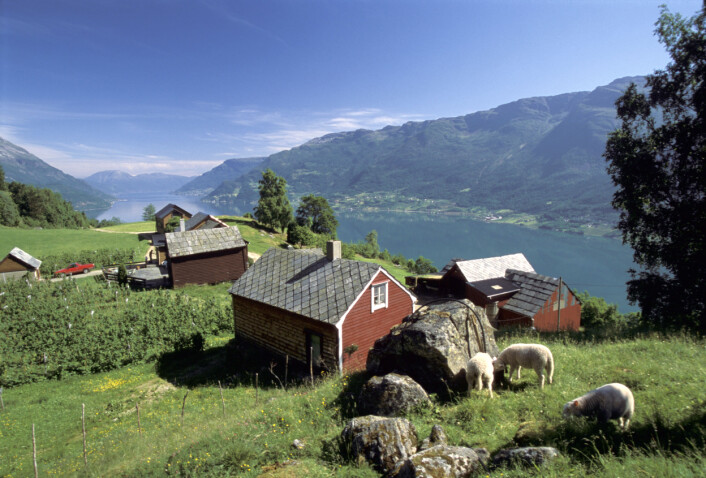 Fritt utsyn over norske bygder. (Foto: Oskar Puschmann, Skog og landskap) Fritt utsyn over norske bygder. (Foto: Oskar Puschmann, Skog og landskap)