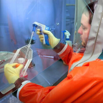 Forskning på virus er tidkrevende. Foto: CDC / Dr. Scott Smith Forskning på virus er tidkrevende. Foto: CDC / Dr. Scott Smith
