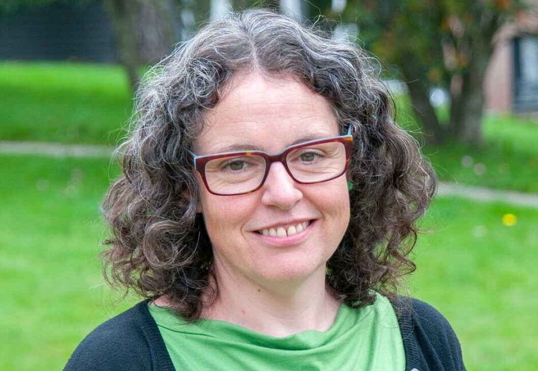 Arnhild Leer-Helgesen is associate professor at the University of Agder and has lived in Bolivia while working in international development and doing fieldwork for her master’s degree and her PhD. Her new book on religion and negotiation in religious organisations in Bolivia is based on her PhD thesis. Arnhild Leer-Helgesen is associate professor at the University of Agder and has lived in Bolivia while working in international development and doing fieldwork for her master’s degree and her PhD. Her new book on religion and negotiation in religious organisations in Bolivia is based on her PhD thesis.