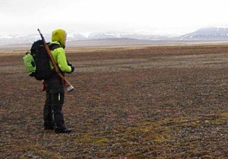 Svalbard reindeer populations rebounding from centuries of hunting
