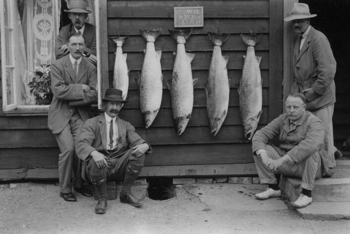 Laksefangst med stang i Vosso anno 1912. Mykje av forskinga på og forvaltinga av rømt oppdrettslaks er framleis basert på denne fangstmetoden. (Foto: (Utlånt av Stiftinga Voss klekkeri)) Laksefangst med stang i Vosso anno 1912. Mykje av forskinga på og forvaltinga av rømt oppdrettslaks er framleis basert på denne fangstmetoden. (Foto: (Utlånt av Stiftinga Voss klekkeri))