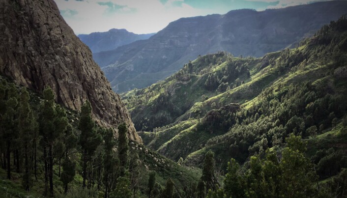 Plystrespråket utviklet guanchene på La Gomera for å kommunisere på tvers av de dype dalene på den vakre øya. Plystrespråket utviklet guanchene på La Gomera for å kommunisere på tvers av de dype dalene på den vakre øya.