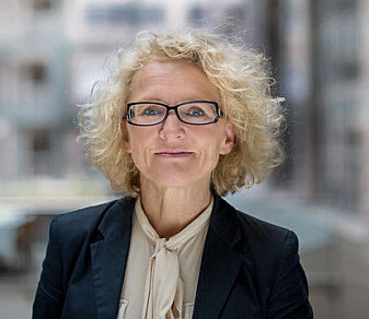 – Vi har visst at det er en mangel på å gjøre konkrete vurderinger og dokumentere dem i barnevernet, men det er slående å lese hvordan dette slår ut i undersøkelsesfasen, sier Mari Trommald, direktør i Bufdir, – Vi har visst at det er en mangel på å gjøre konkrete vurderinger og dokumentere dem i barnevernet, men det er slående å lese hvordan dette slår ut i undersøkelsesfasen, sier Mari Trommald, direktør i Bufdir,